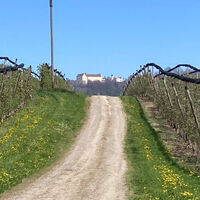 Blick auf Schloß Heiligenberg in der Ferne