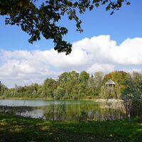 aue-chly-rhy-teich-mit-aussichtsturm