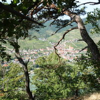 Abstieg, Blick nach Weißenkirchen