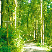 Eintritt zum Seltenbachweg