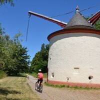 Kranen am Mosel-Radweg bei Trier