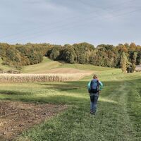 Sehr abwechslungsreich führt der Weg über Wiesen