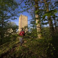 Kastelburg Waldkirch