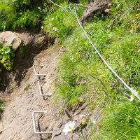Tritthilfen im Hang des Grüehorns