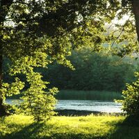 Schlossteich Keutschach