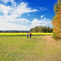 Die Landschaft in Neubulach genießen