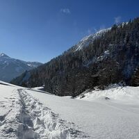 Aufstieg Höslalmen Schneeschuhtour Hösljoch
