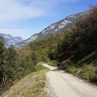 Die Forststraße Richtung Bolognano