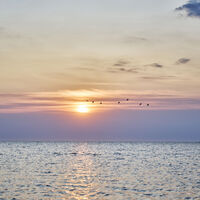 Sonnenuntergang über dem Wattenmeer in Cuxhaven