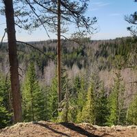 Haukvuoren Runde