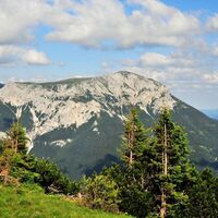 Blick auf die Rax