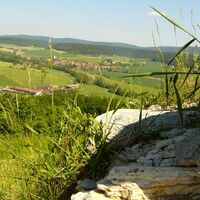 Blick von der Schaumburg auf Truckenthal