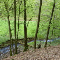 Wälderweg Sieg