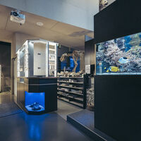 HöhlenErlebnisWelt Eingangsbereich HSL mit Aquarium