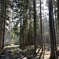 Remptendorf - Ruhteich - Friesauer Hügel