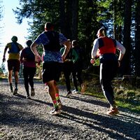 Einfacher Geländewechsel - Selibühl Trailrun