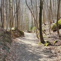 35.8 km Schöne Forststraße