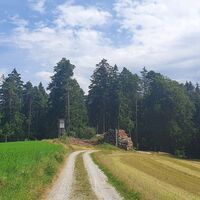 Hochstand