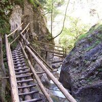 Bärenschützklamm