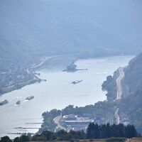 Aussicht vom Aussichtsturm auf dem Spitzen Stein - Pfalzgrafenstein bei Kaub