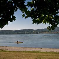 Morgenidylle am Bodensee