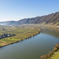 Die Mosel bei Piesport