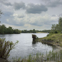 Rotter See