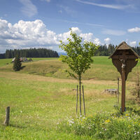 Weitblick