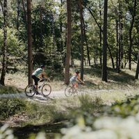 Naturpark-Blockheide