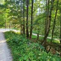 28 km Auf 900m rechts zum Waldbachstrub abbiegen