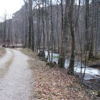 entlang des Sierningbaches Richtung grob Süd