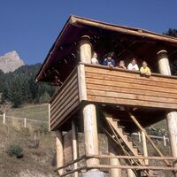 Aussichtsturm auf der Wanderung hoch zum Ochsenberg