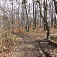Grenzweg