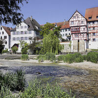 Schwarzach in Riedlingen