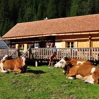 Berallerhütte bei der Kotalm