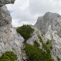 beim Abstieg müssen einzelne Stellen immer wieder abgeklettert werden