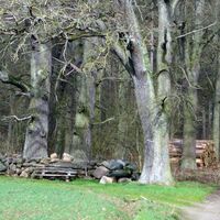 Rastplatz an der Nachtweide