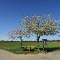 Rastplatz in offener Feldflur.