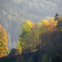 Silbersberg im Herbst