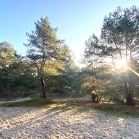 Naturschutzgebiet Voßberge mit Wanderdüne