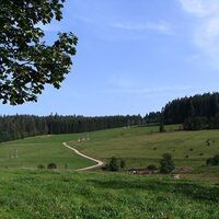 Im Winter Skipiste, im Sommer Viehweide!