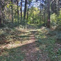 Natuidyll