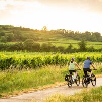 Flaggenturm "Kaffeemühlchen" bei Bad Dürkheim