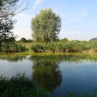 Angelweiher am Saaraltarm