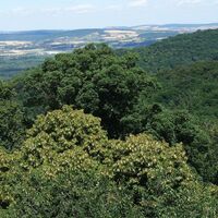 Ausblick von der Tempelbergwarte