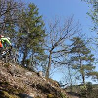 Trail von Güntersheil zur Hohenwartetalsperre