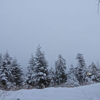 Semmering - Eselstein