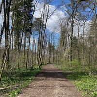 Auen-Trail - Steyr Unterhimmler Au