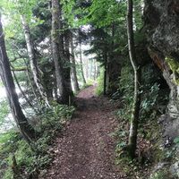 Forstsee