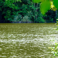 Großer Auesee